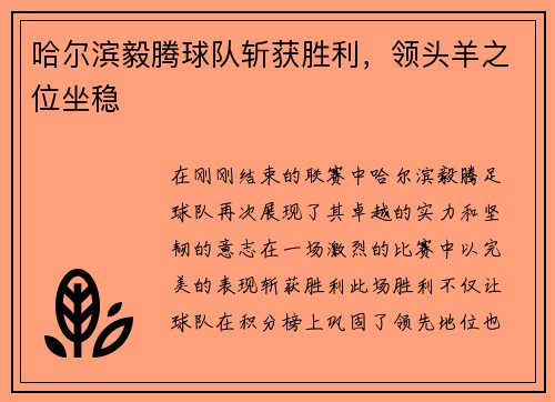 哈尔滨毅腾球队斩获胜利，领头羊之位坐稳