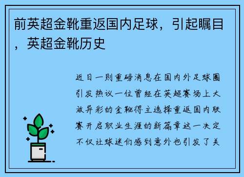 前英超金靴重返国内足球，引起瞩目，英超金靴历史