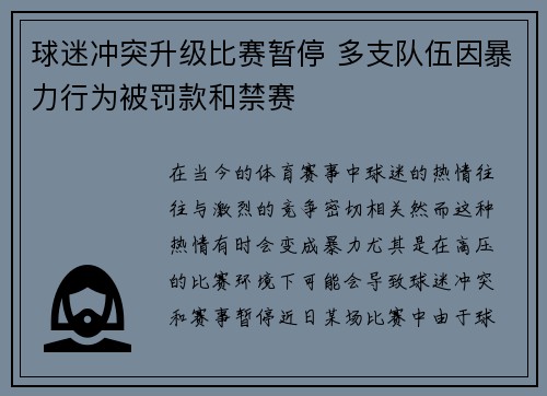 球迷冲突升级比赛暂停 多支队伍因暴力行为被罚款和禁赛