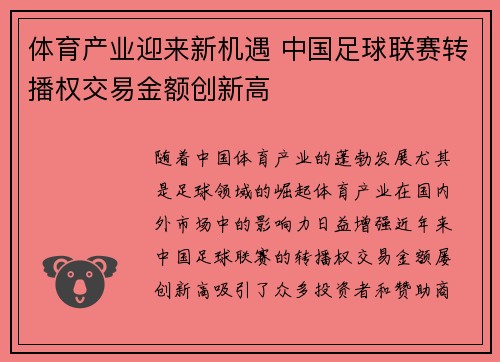 体育产业迎来新机遇 中国足球联赛转播权交易金额创新高